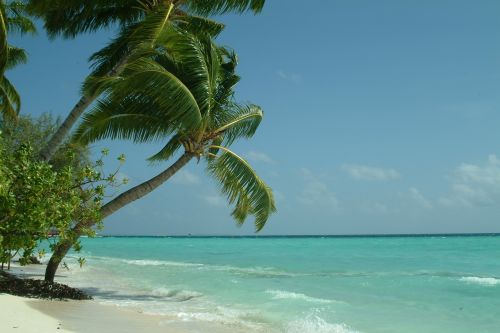 palma maldives beach