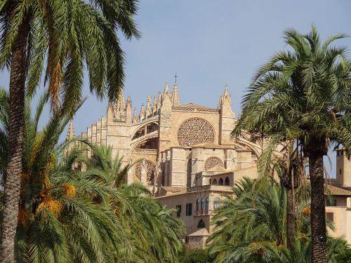 palma cathedral mallorca