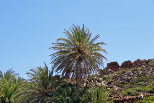 palma greece tropical