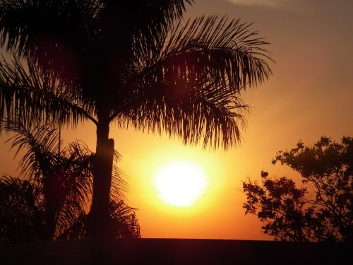 palma sol sunset
