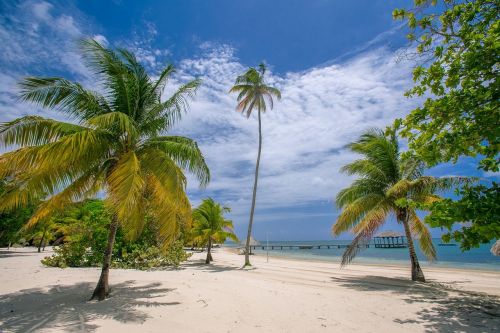 palmetto bay caribbean beach