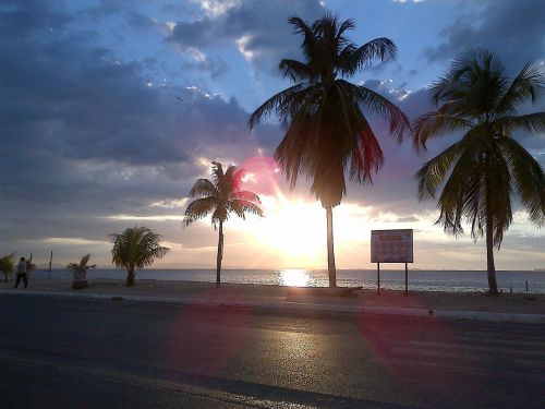 palms beach sunset