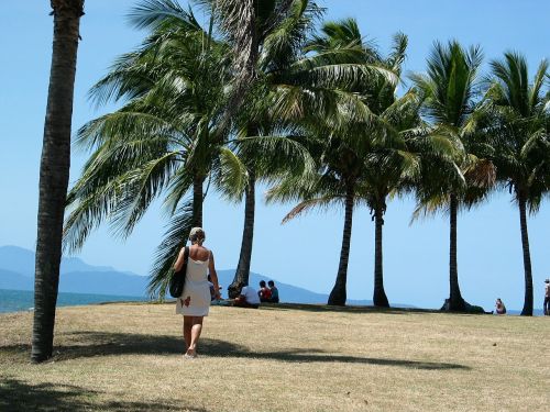 palms woman walking