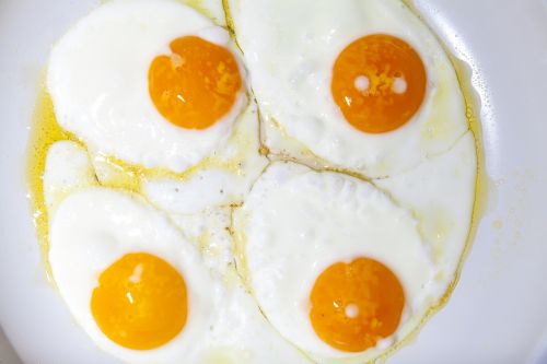 pan egg protein
