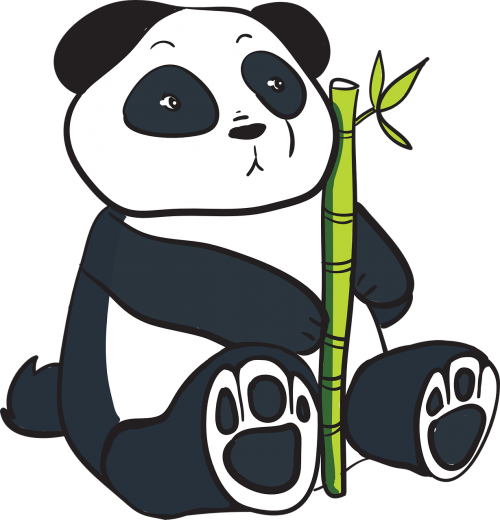 panda china bear