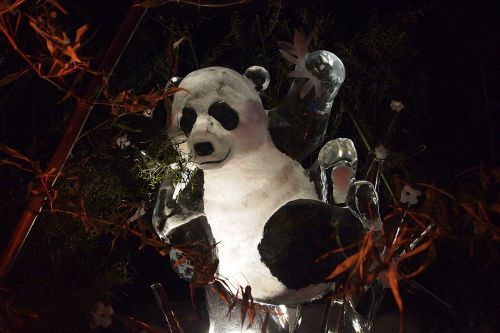 panda ice ijsfiguur