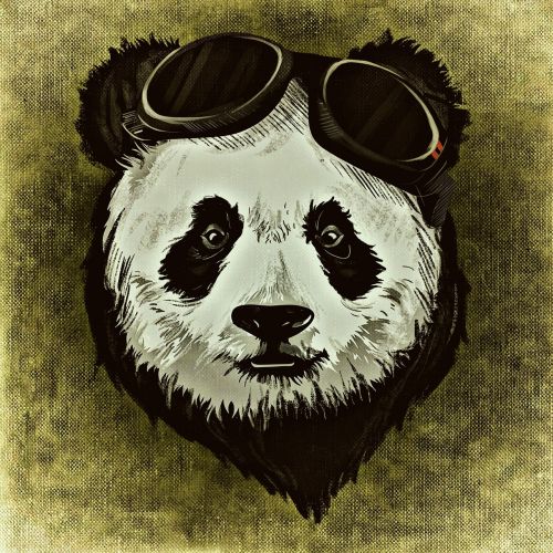 panda animal wild