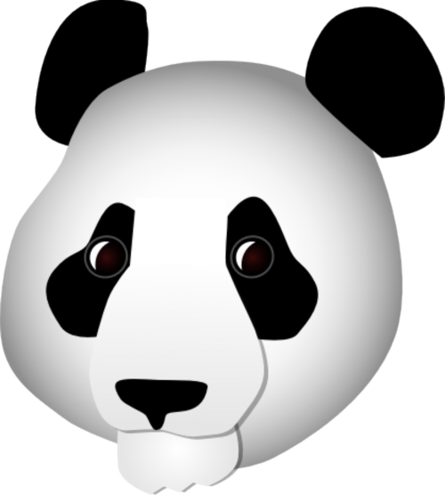 panda head bear