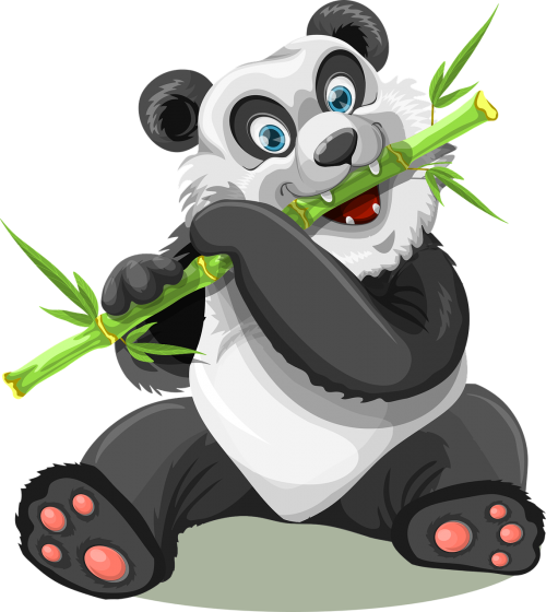 panda animal bamboo