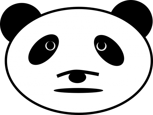 panda bear face