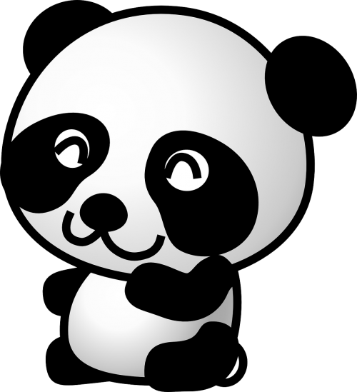 panda bear animal