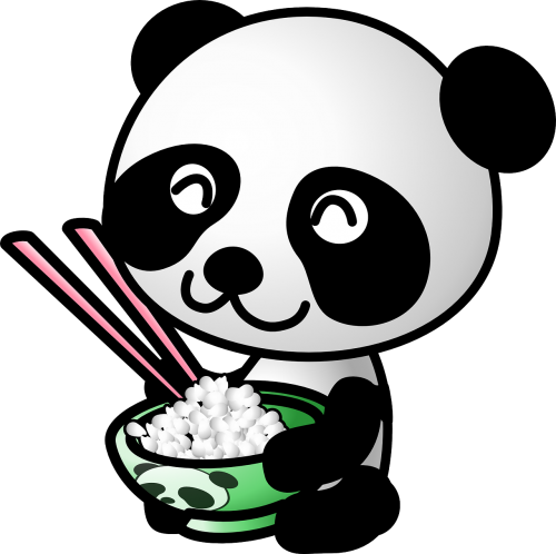 panda animal diet