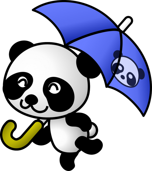 panda animal rain
