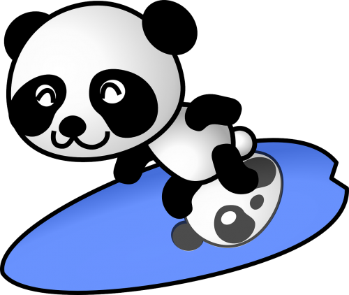 panda surfing surfer