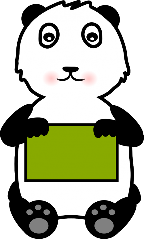 panda animal bear
