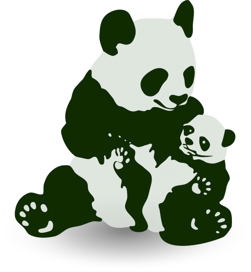 panda bear cute