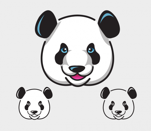 panda animal mammal