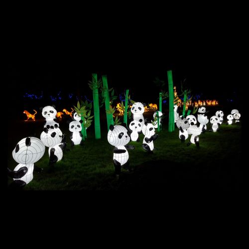 panda lanterns cultural