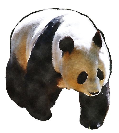 panda watercolor oekaki