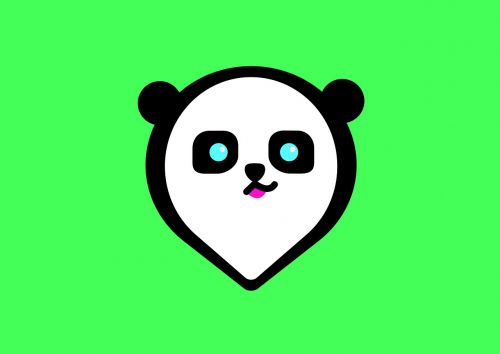 panda panda bear bear