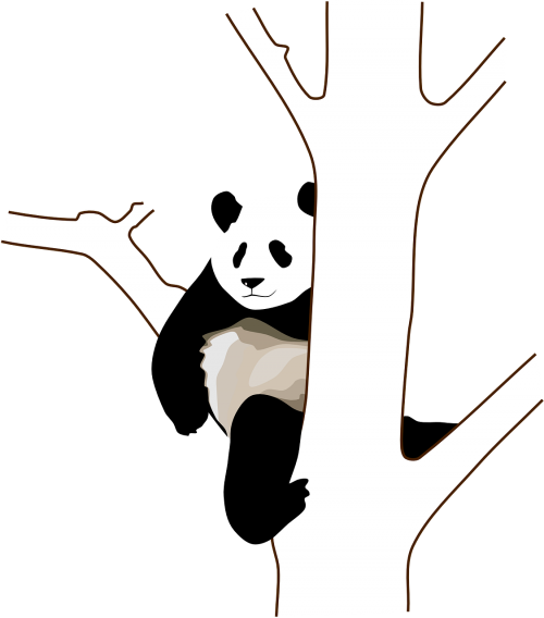 panda tree branch