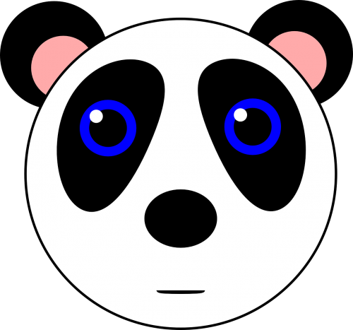 panda bear animal