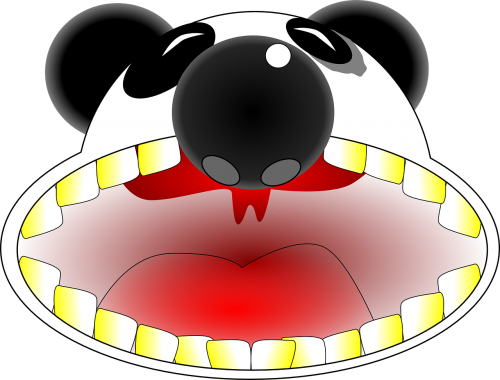 panda mouth teeth