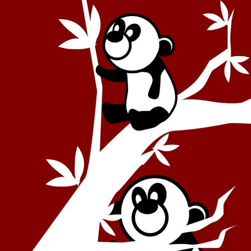 pandas animals mammals