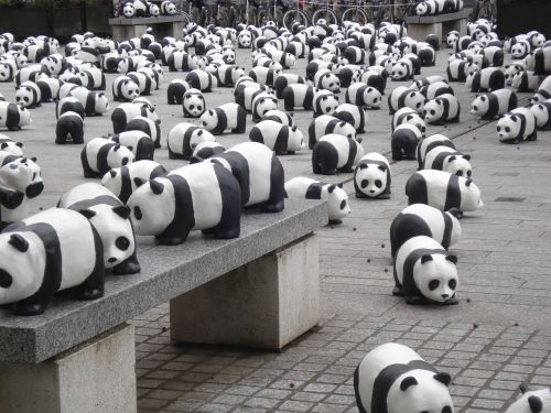 pandas miniature exhibition