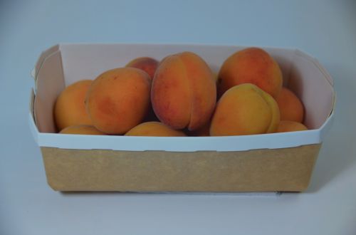 Basket Of Apricots