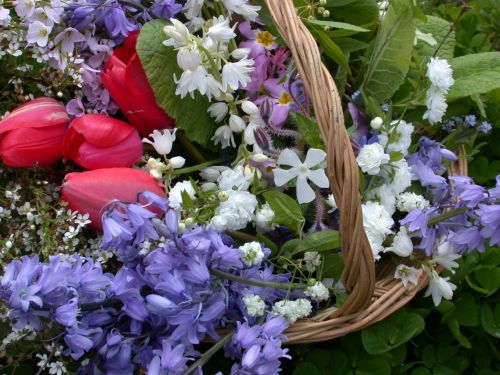 Flower Basket