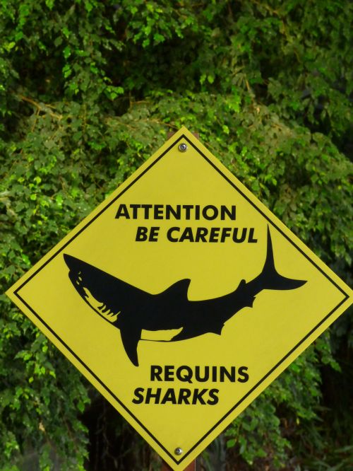 Danger Shark Sign