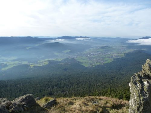 panorama forest mountain