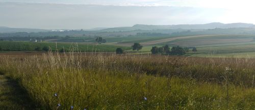 panorama agriculture morgenstimmung