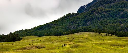 panorama landscape scenic