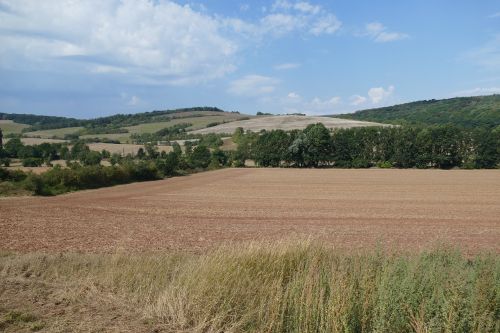panorama arable field