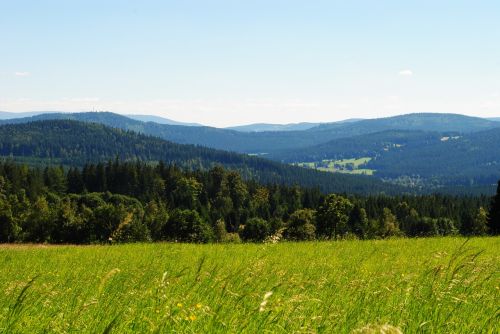 panorama view green