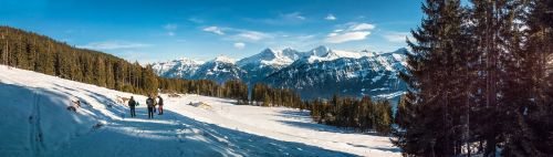 panorama winter mountains