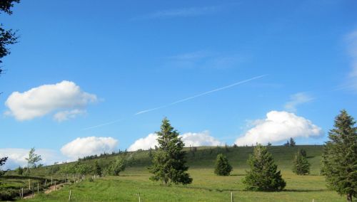 panorama vosges trail