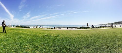 panorama grass sky