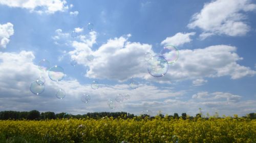 panorama nature landscape