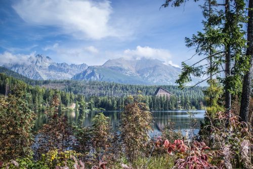 panorama pleso nature