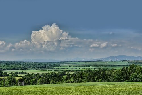 panorama  landscape  spring