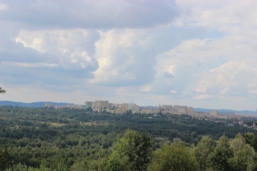 panorama  forest  landscape