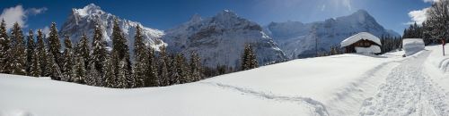 panorama winter grindelwald