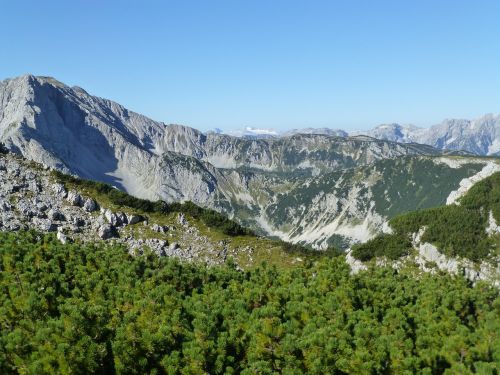 panorama alpine landscape