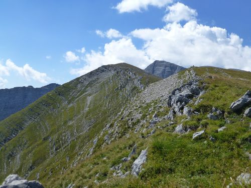 panorama alpine landscape