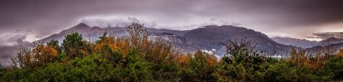 panoramic mountains trees