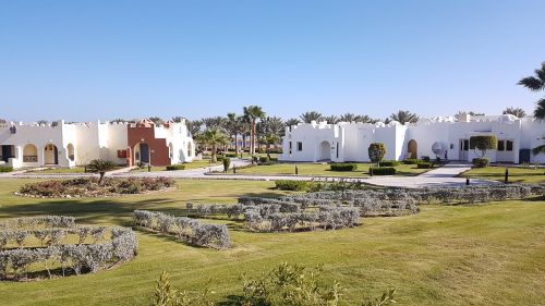 panoramic grass outdoors