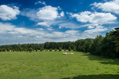 panoramic nature landscape